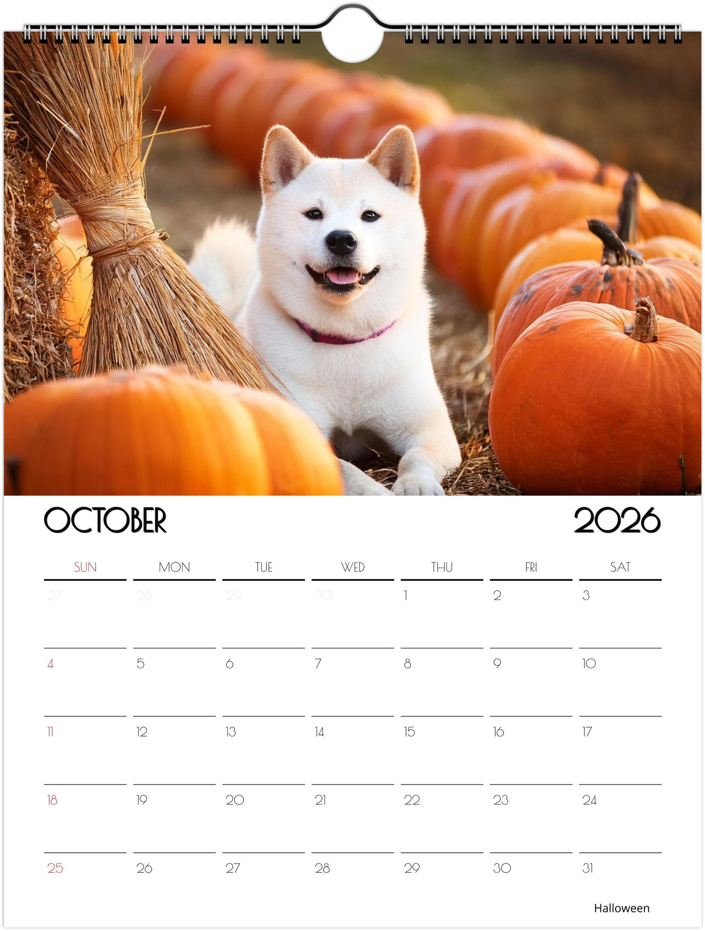 Adorbale Shiba Inu Calendar – Eco-Friendly Wall Art for Every Month - 2026