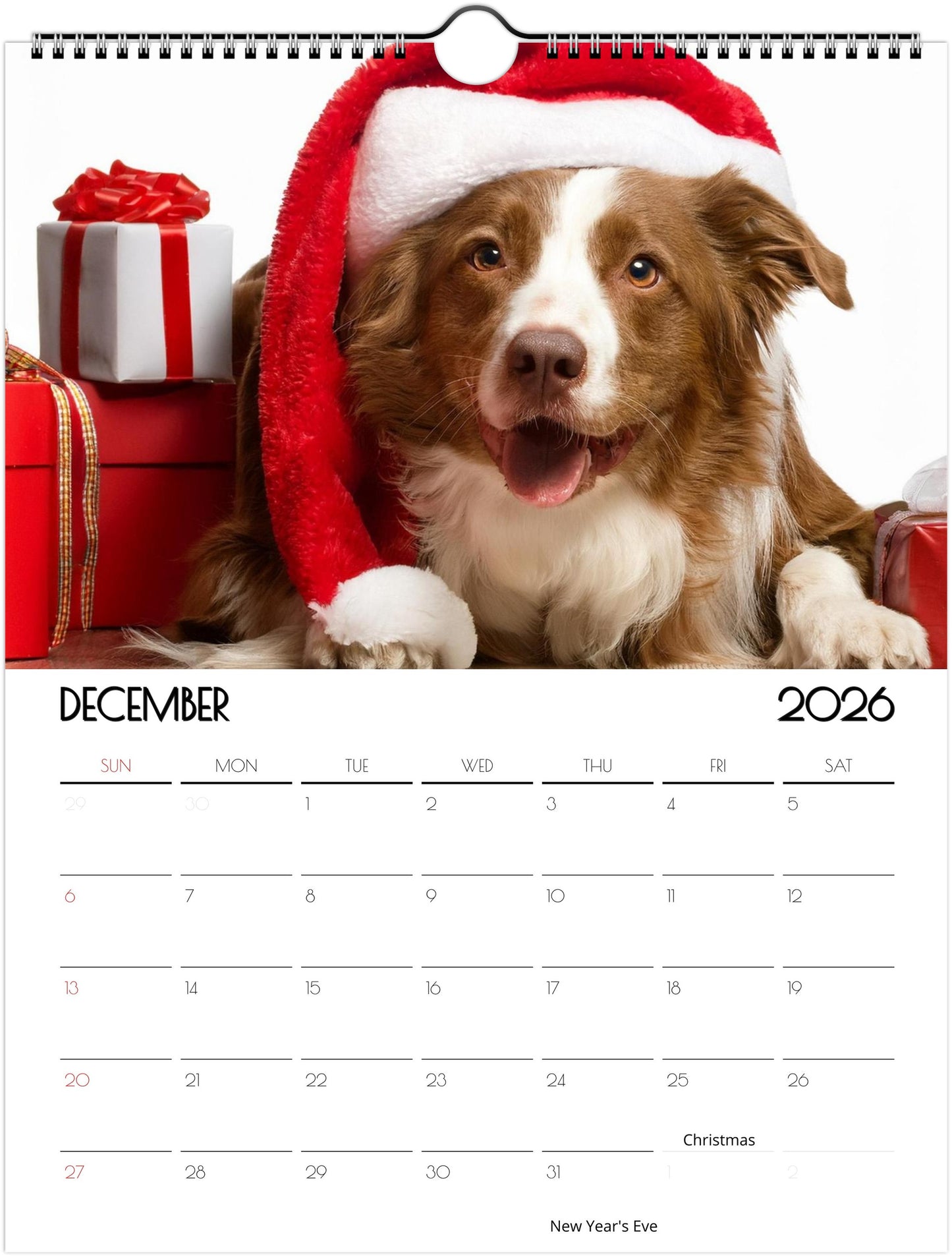Fun Border Collie Calendar – 12 Months of Joyful Designs - 2026