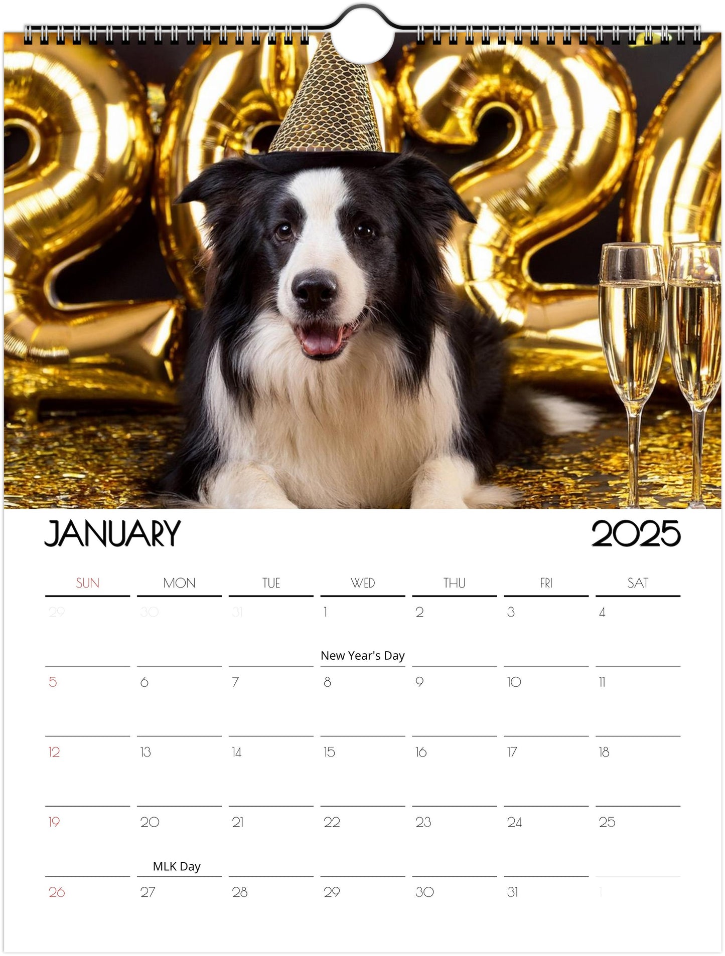 Fun Border Collie 2025 Wall Calendar