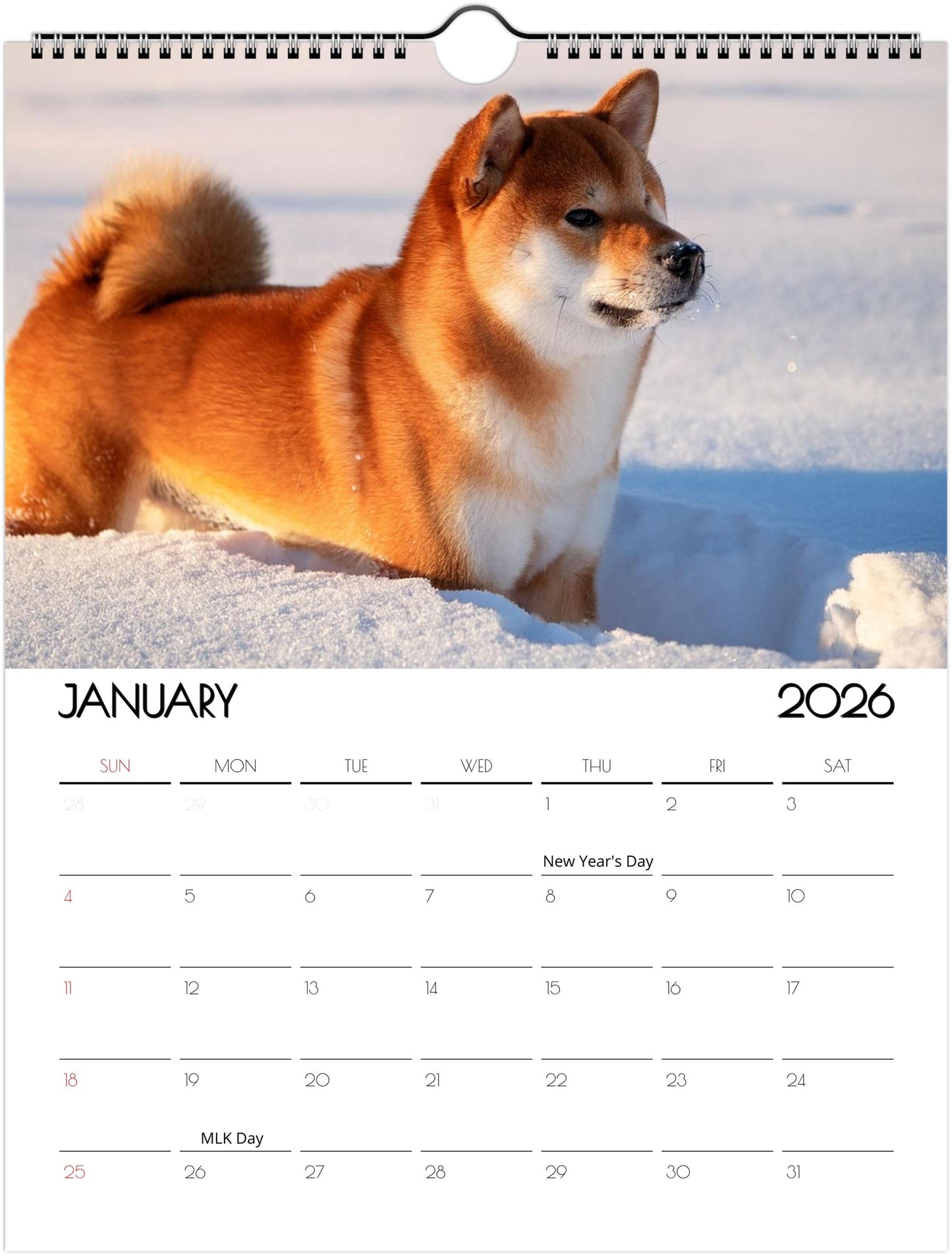 Adorbale Shiba Inu Calendar – Eco-Friendly Wall Art for Every Month - 2026