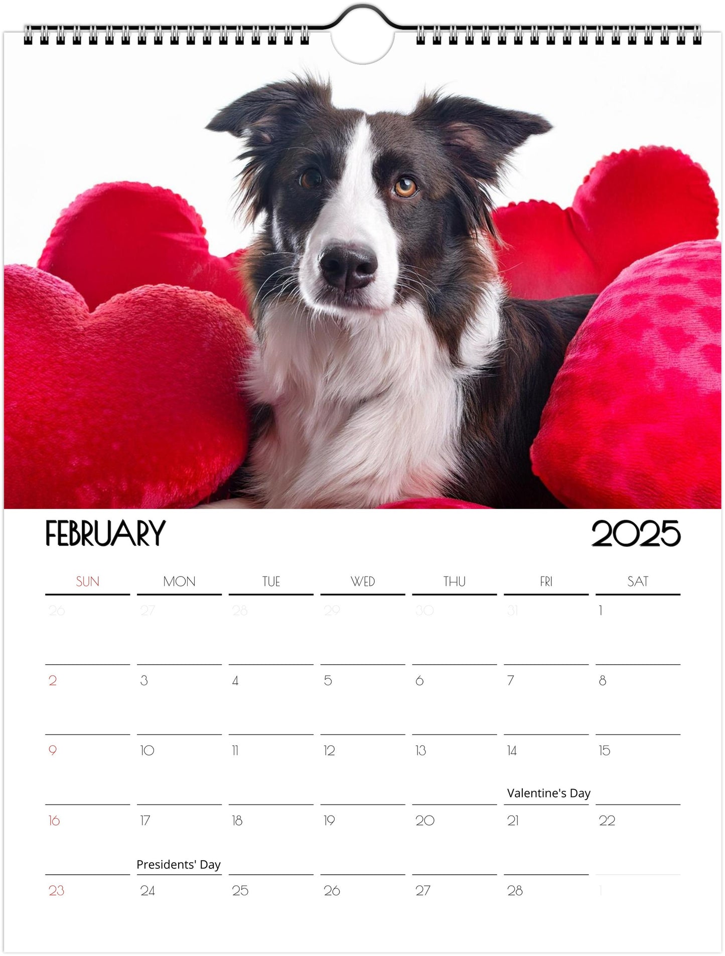 Border Collie 2025 Wall Calendar