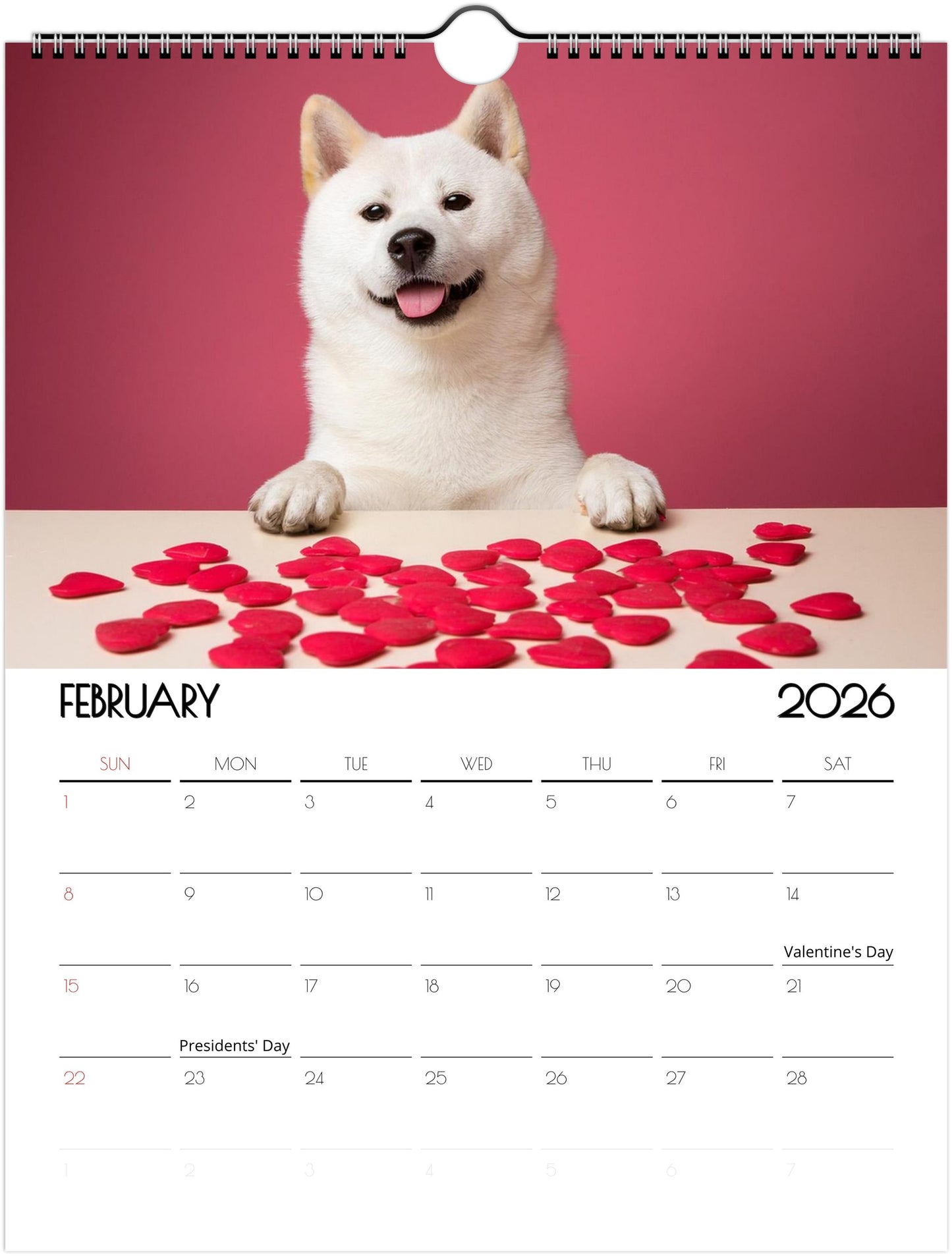 Loving Shiba Inu Calendar – 12 Months of Fun Designs & Eco-Friendly - 2026