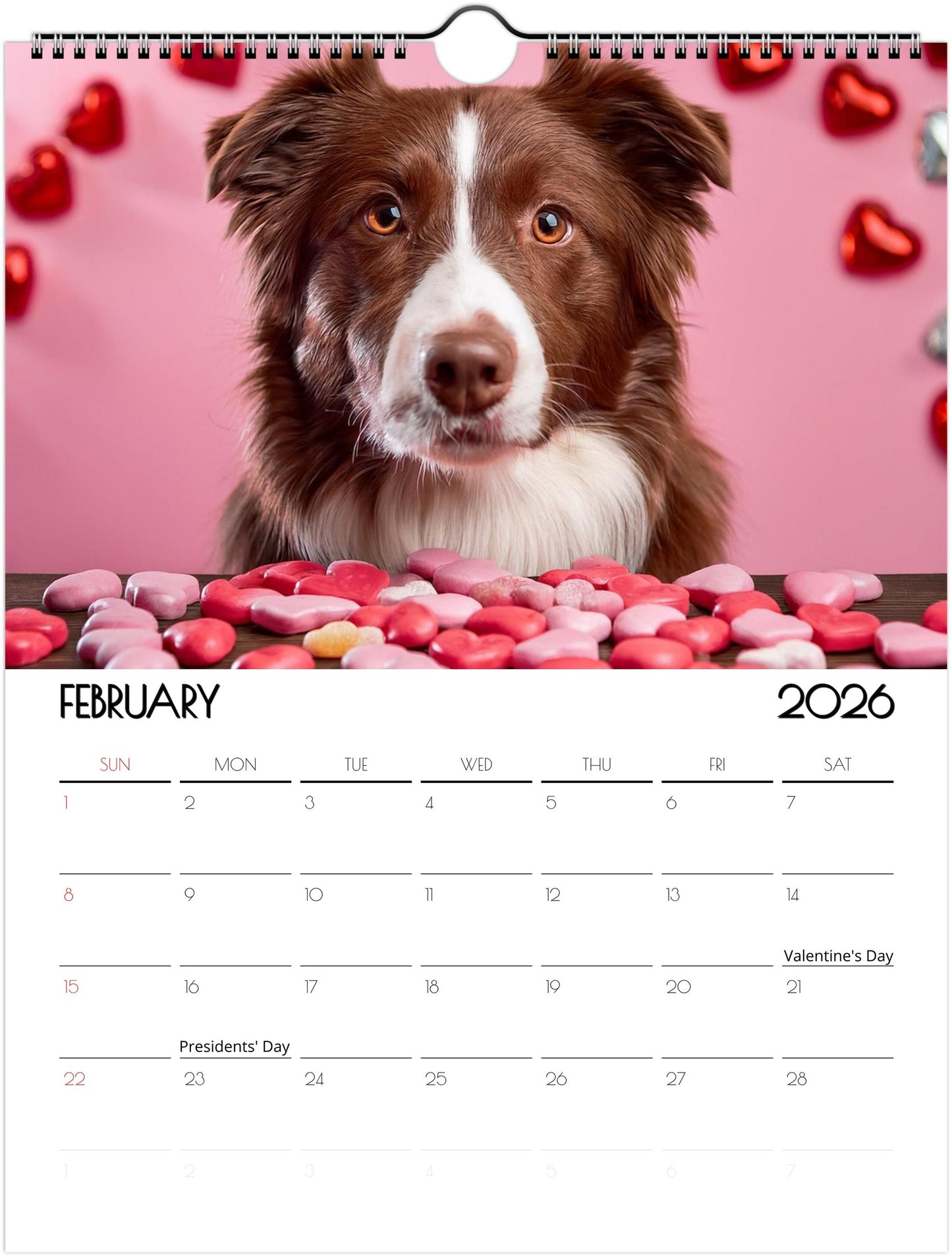 Fun Border Collie Calendar – 12 Months of Joyful Designs - 2026