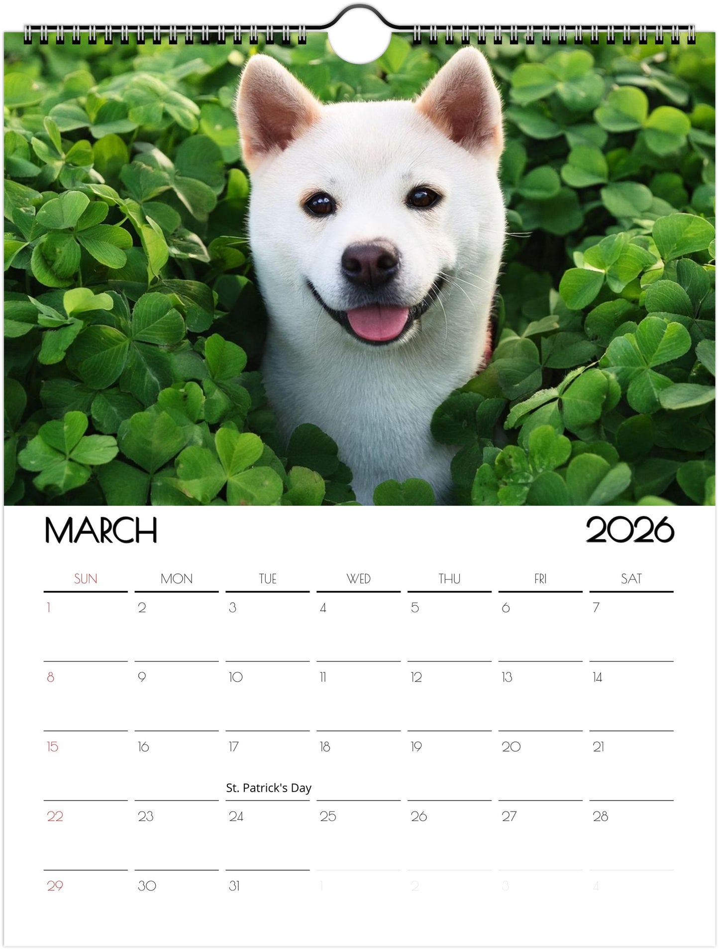 Adorbale Shiba Inu Calendar – Eco-Friendly Wall Art for Every Month - 2026