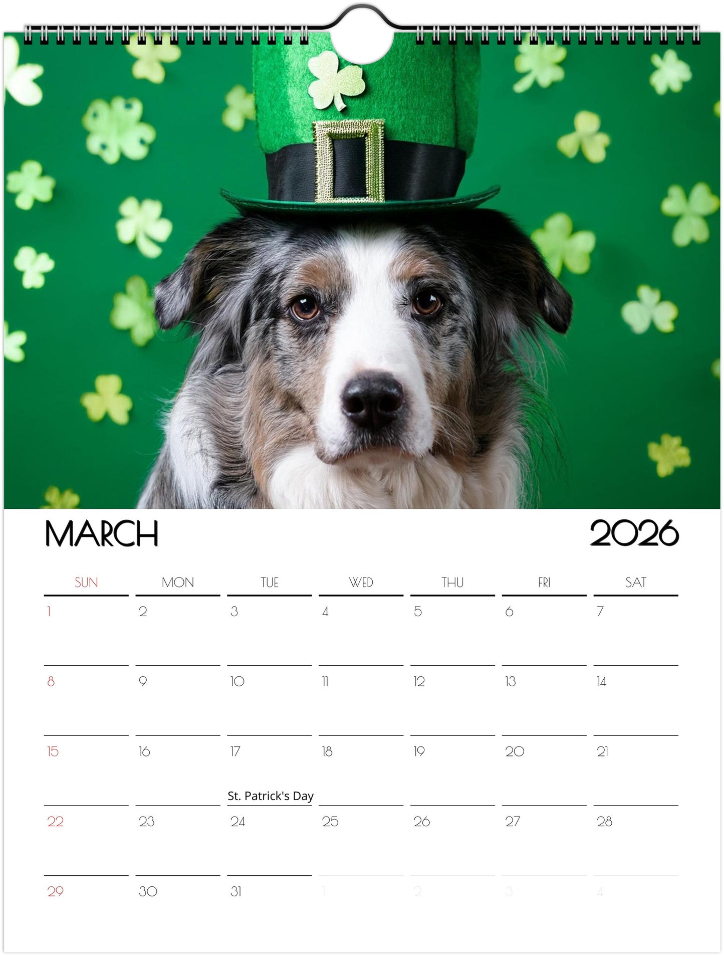 Fun Border Collie Calendar – 12 Months of Joyful Designs - 2026
