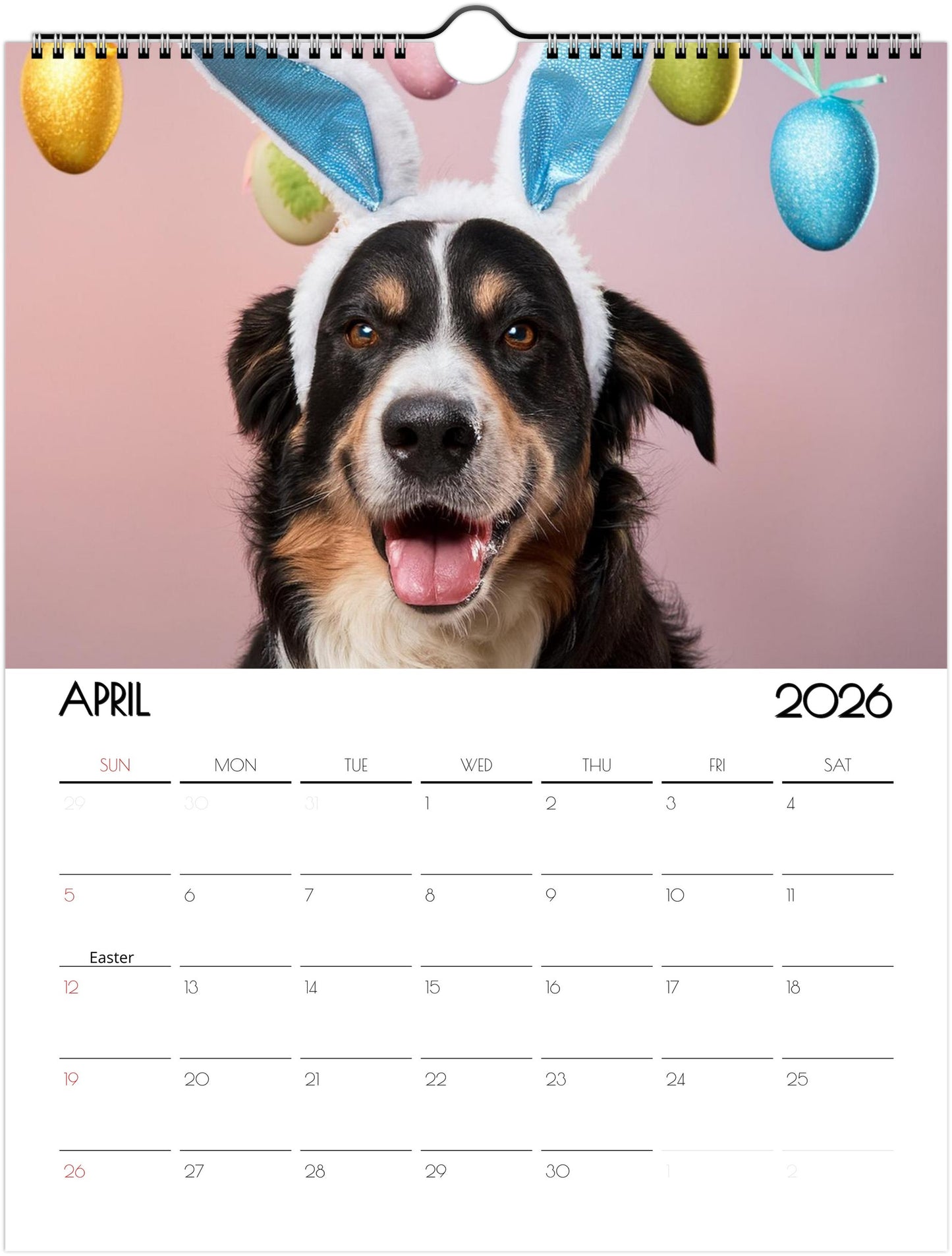 Fun Border Collie Calendar – 12 Months of Joyful Designs - 2026