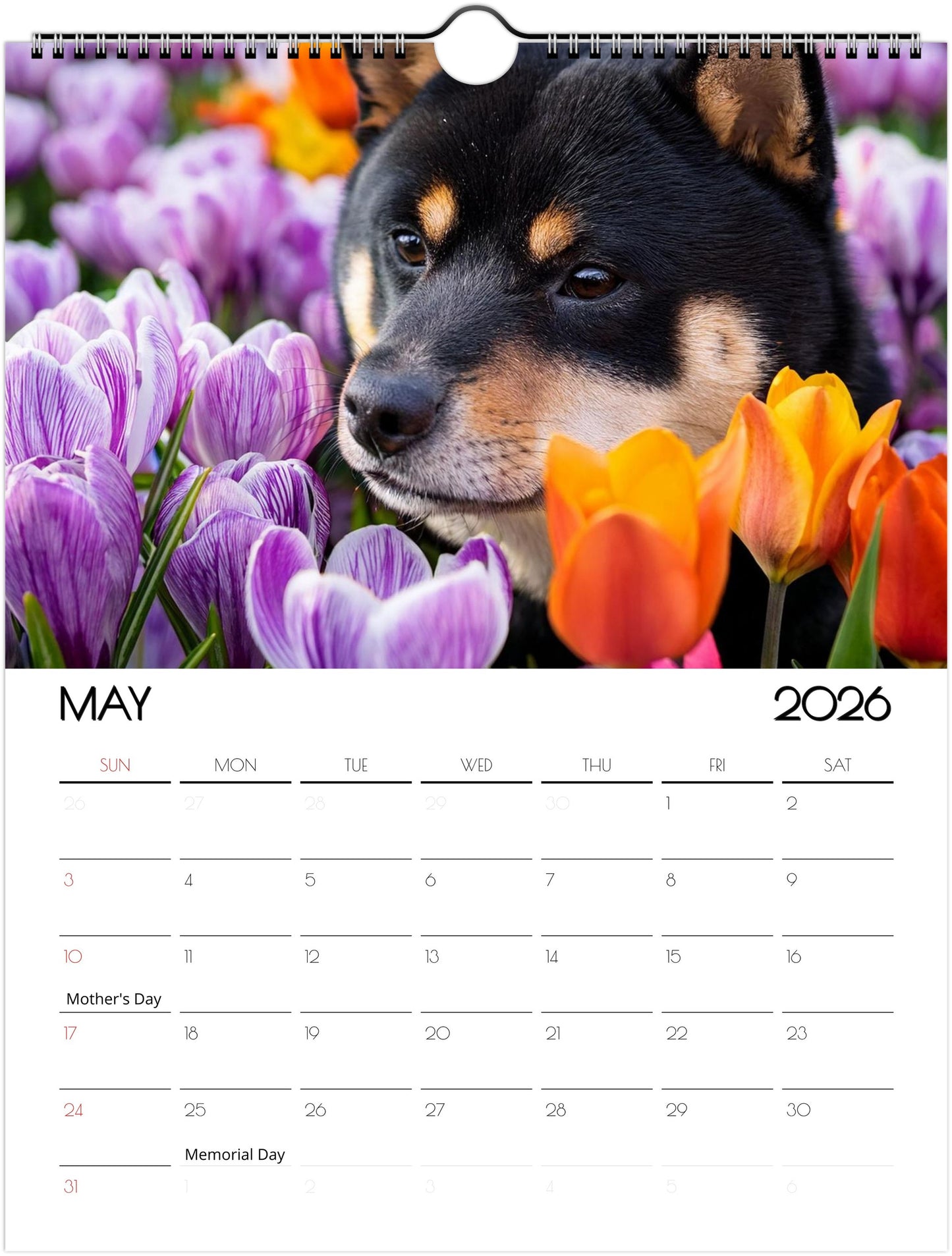Adorbale Shiba Inu Calendar – Eco-Friendly Wall Art for Every Month - 2026