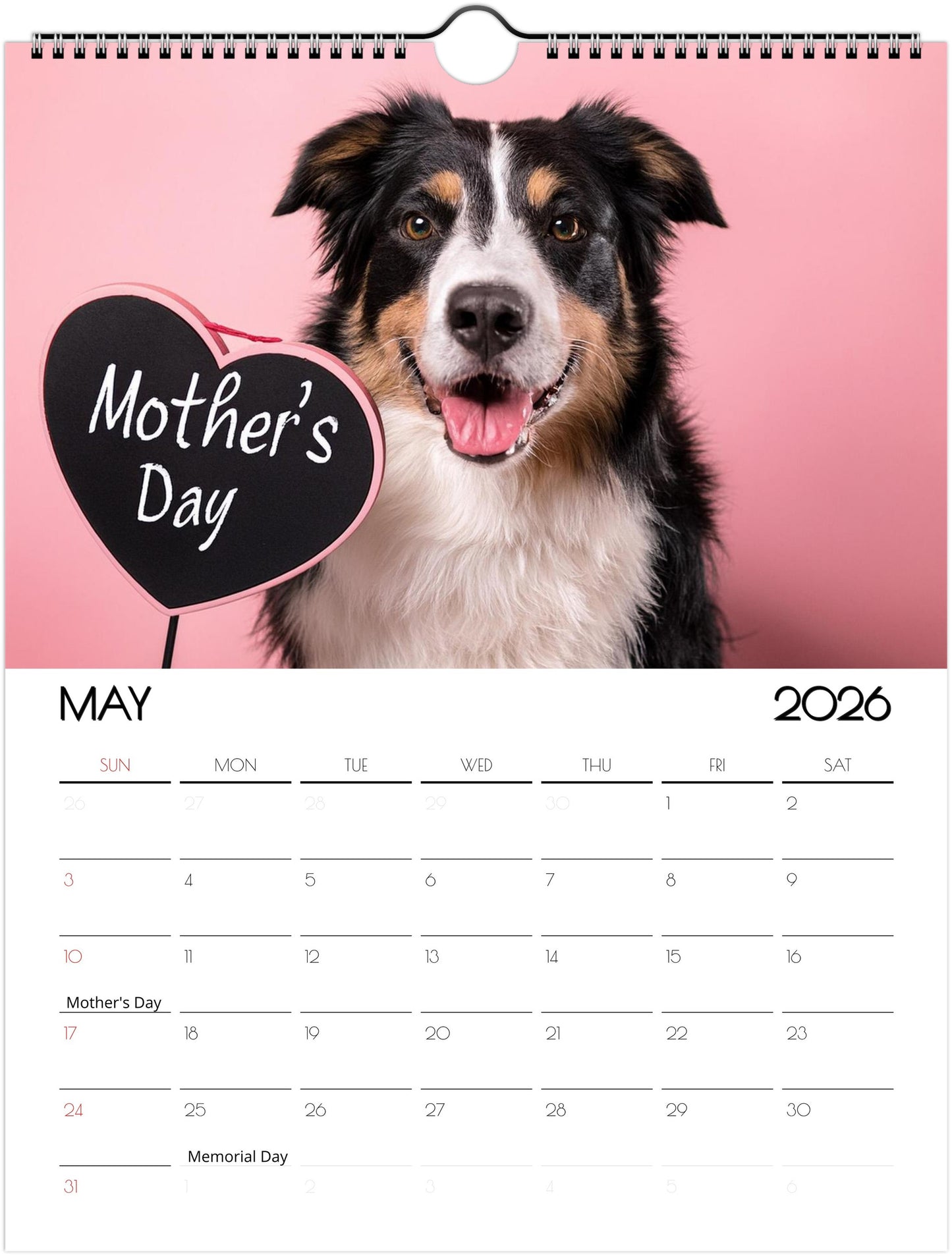 Fun Border Collie Calendar – 12 Months of Joyful Designs - 2026