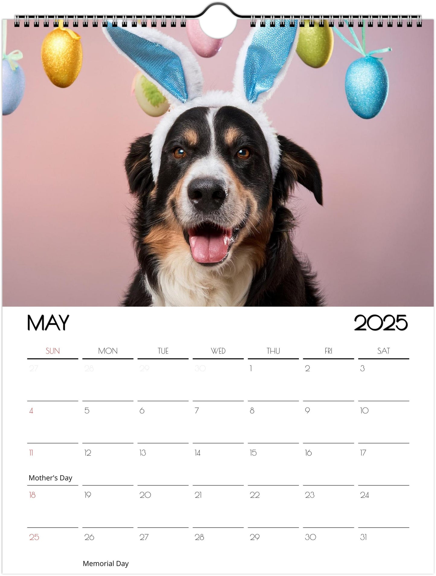 Fun Border Collie 2025 Wall Calendar
