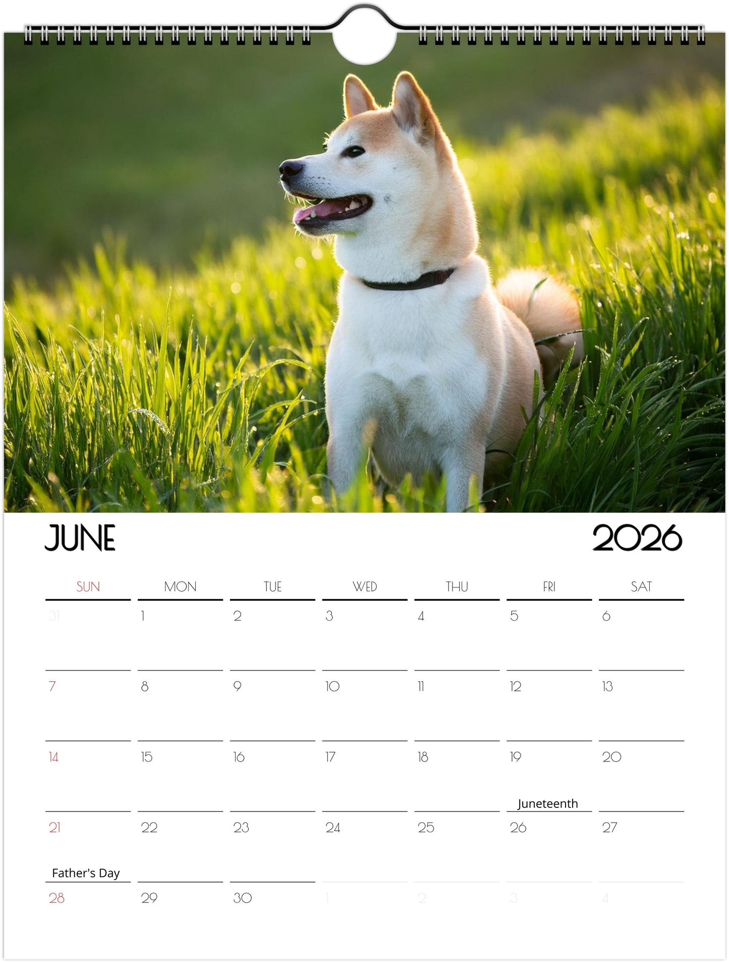 Adorbale Shiba Inu Calendar – Eco-Friendly Wall Art for Every Month - 2026