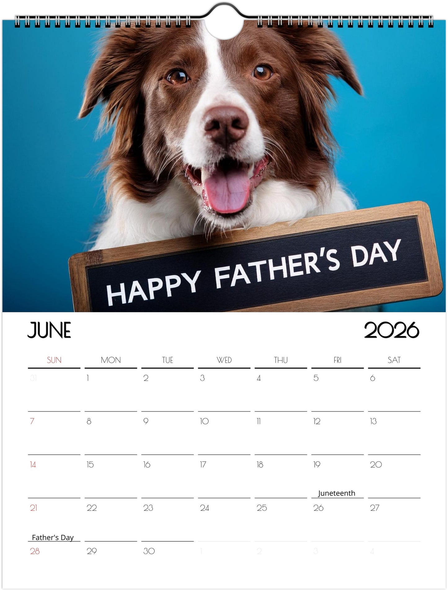 Fun Border Collie Calendar – 12 Months of Joyful Designs - 2026