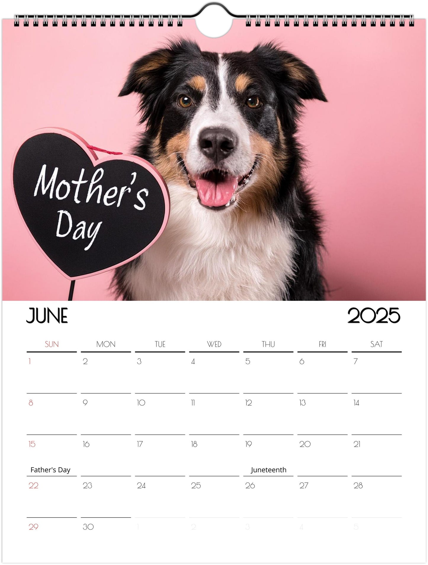 Fun Border Collie 2025 Wall Calendar