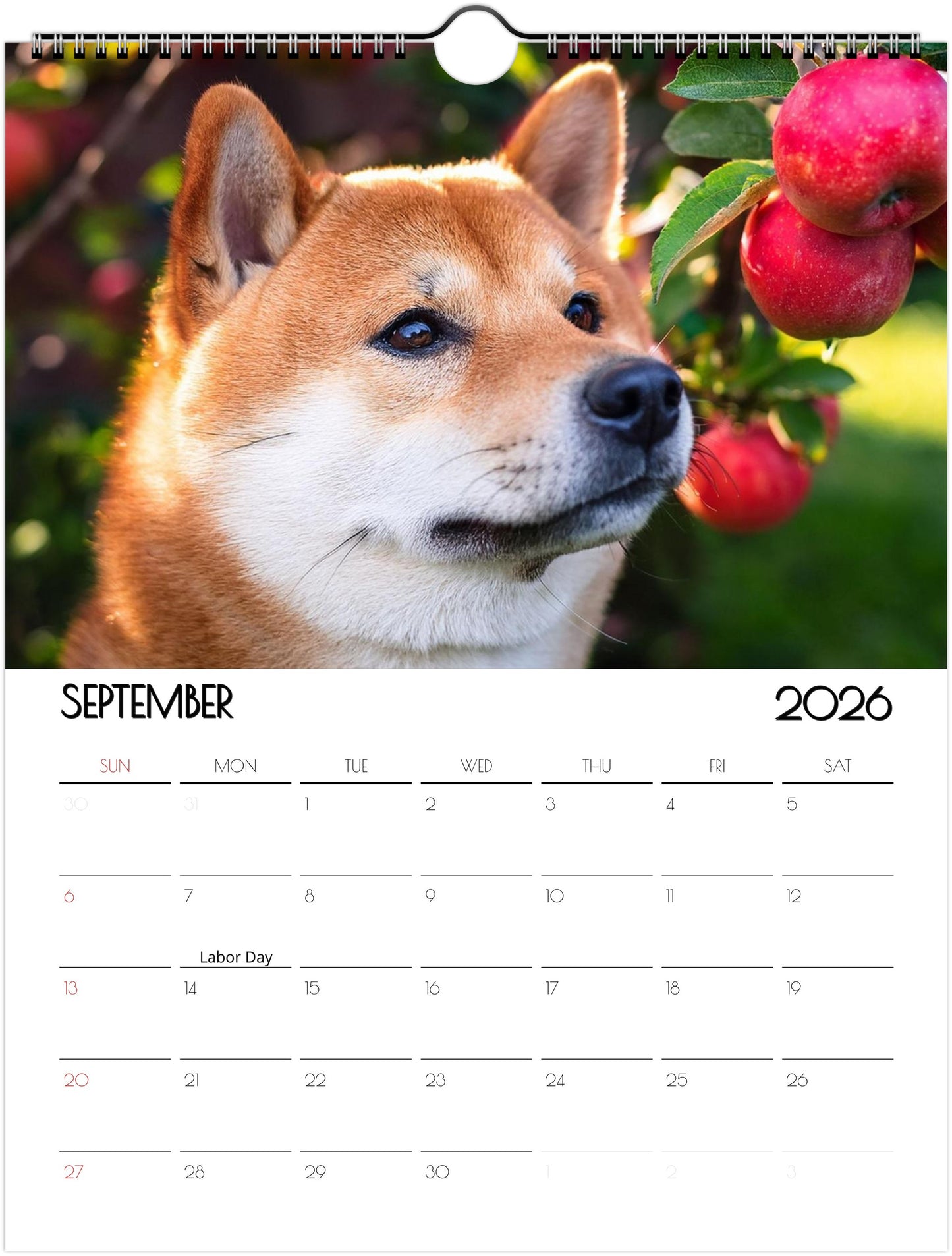 Adorbale Shiba Inu Calendar – Eco-Friendly Wall Art for Every Month - 2026
