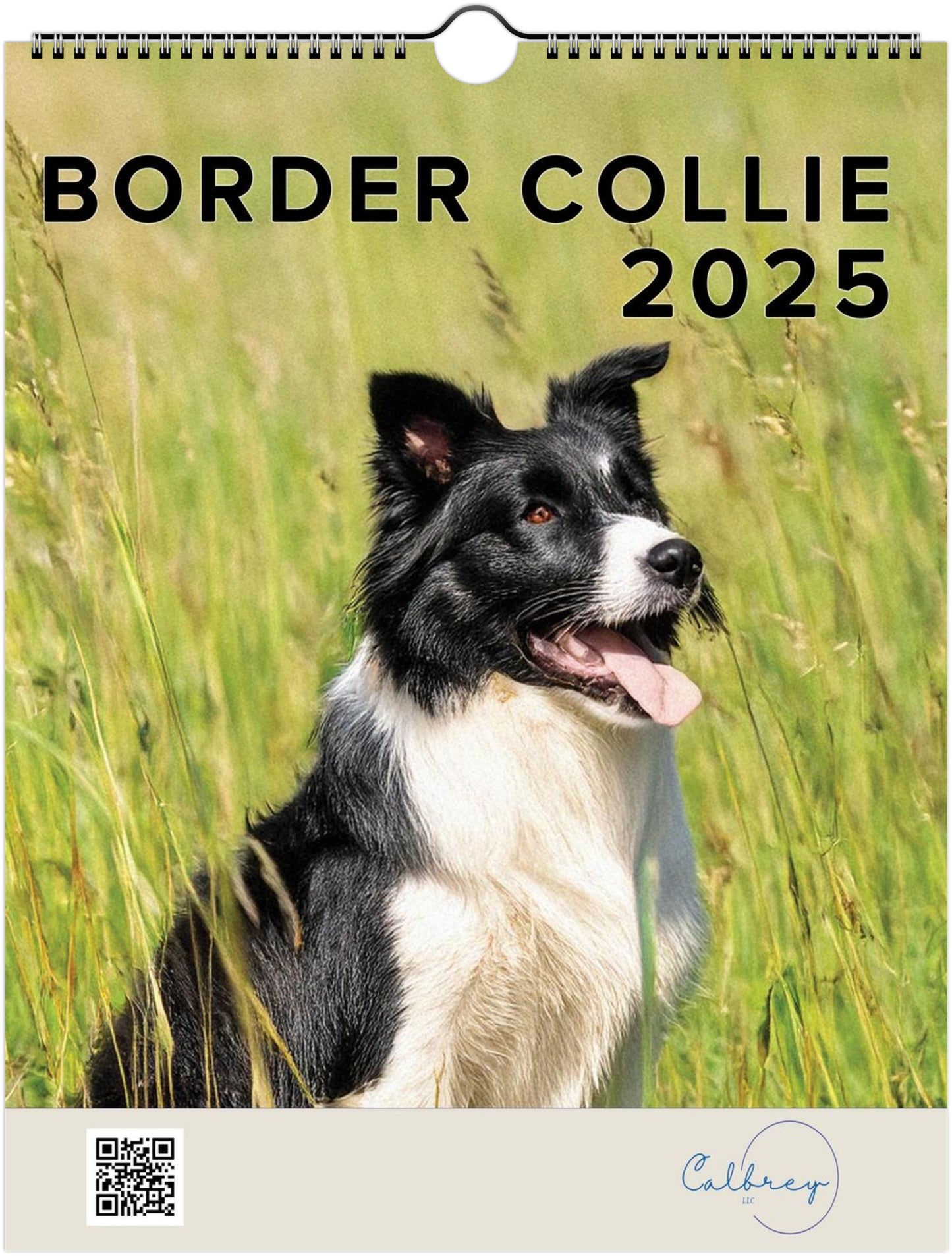 Border Collie 2025 Wall Calendar