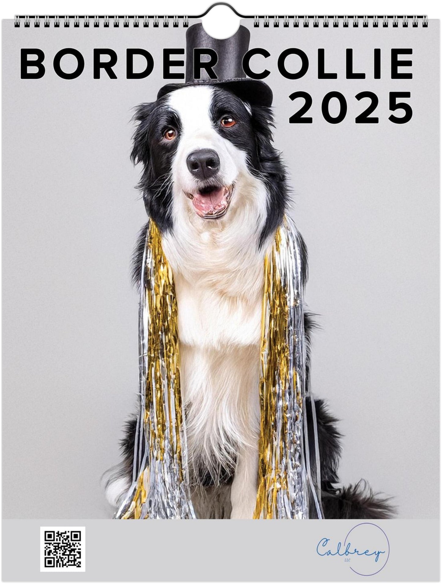 Fun Border Collie 2025 Wall Calendar