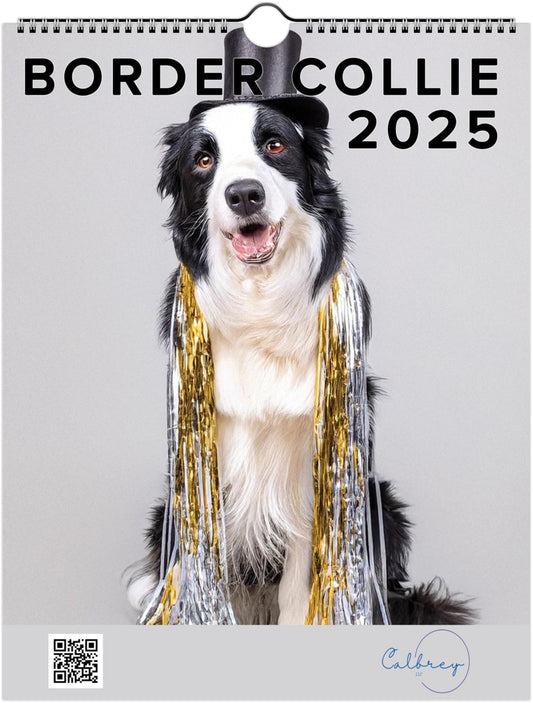 Fun Border Collie 2025 Wall Calendar