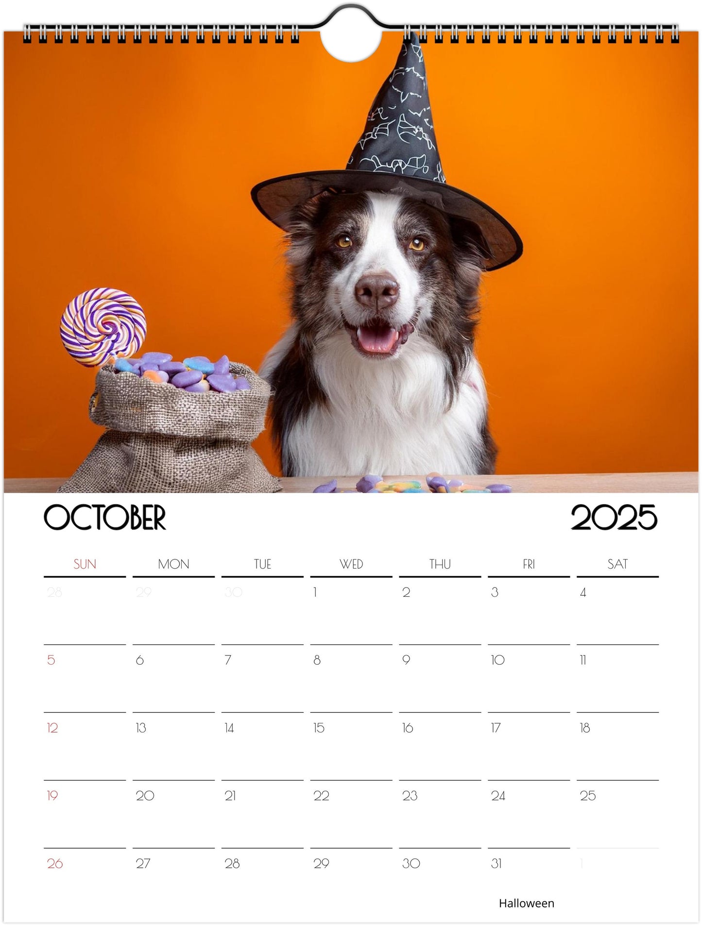 Fun Border Collie 2025 Wall Calendar