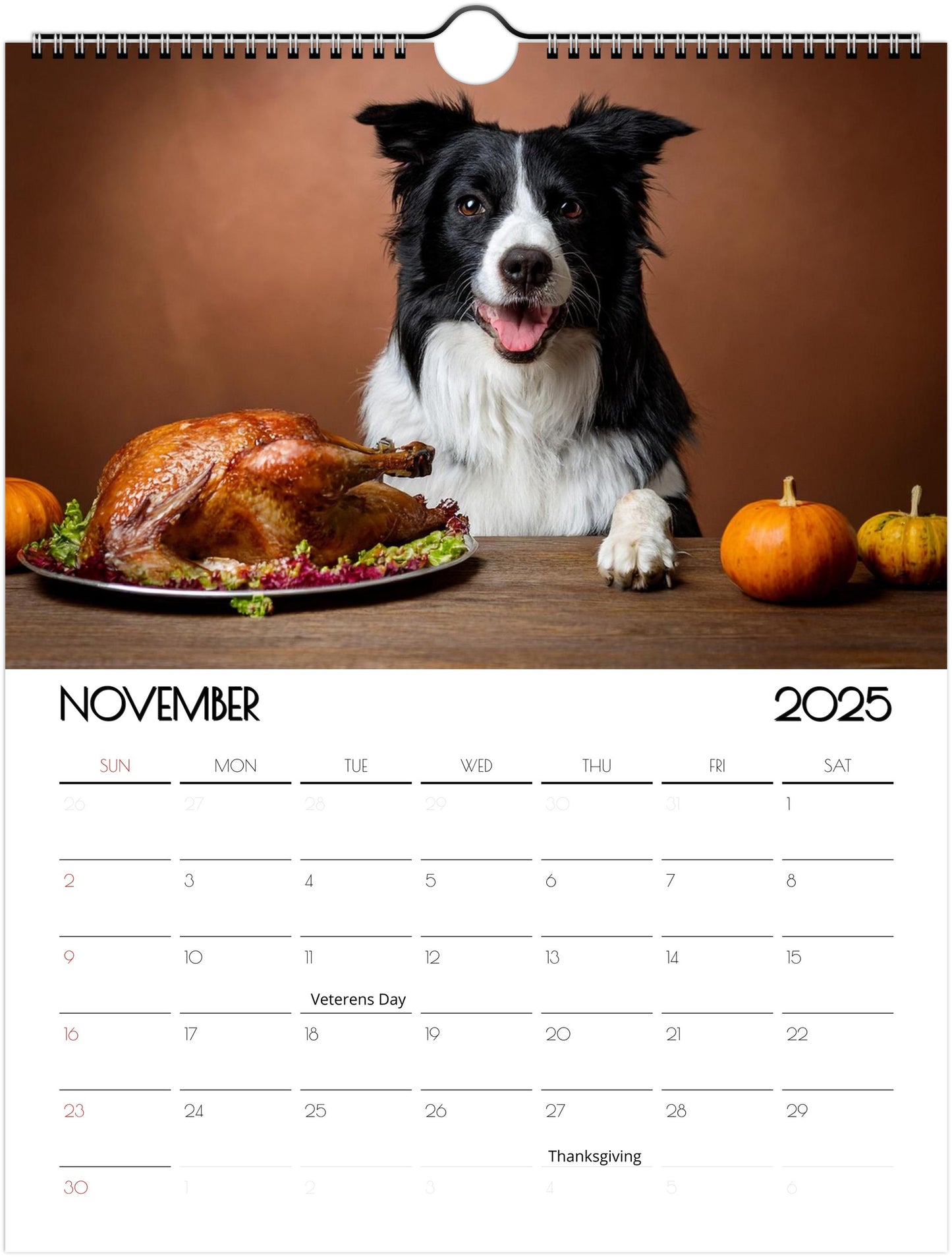 Fun Border Collie 2025 Wall Calendar