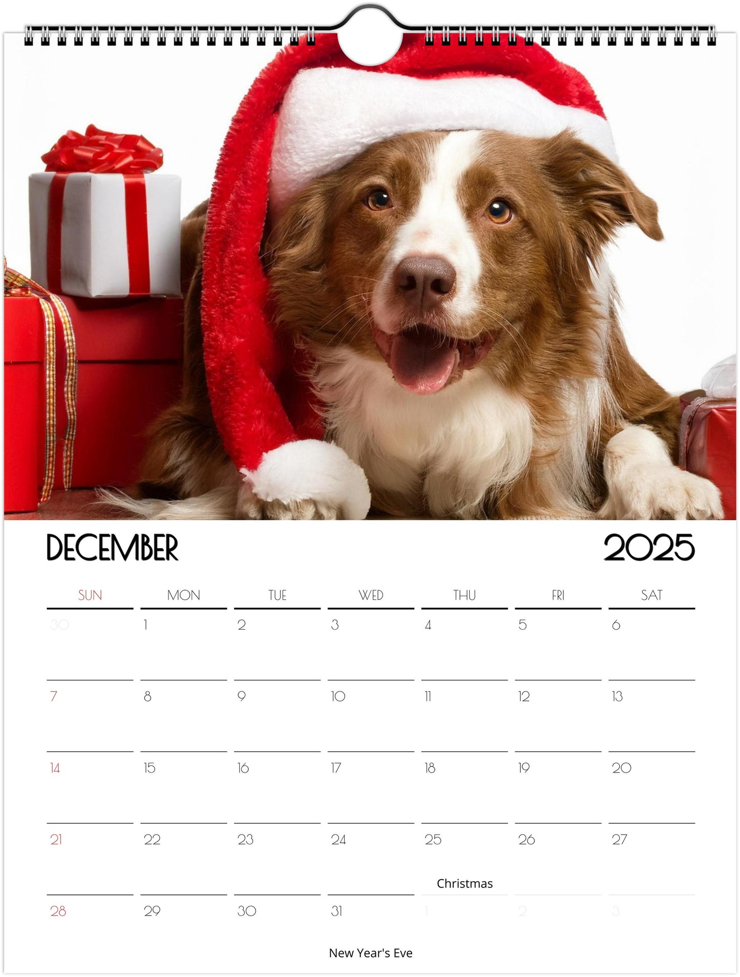 Fun Border Collie 2025 Wall Calendar