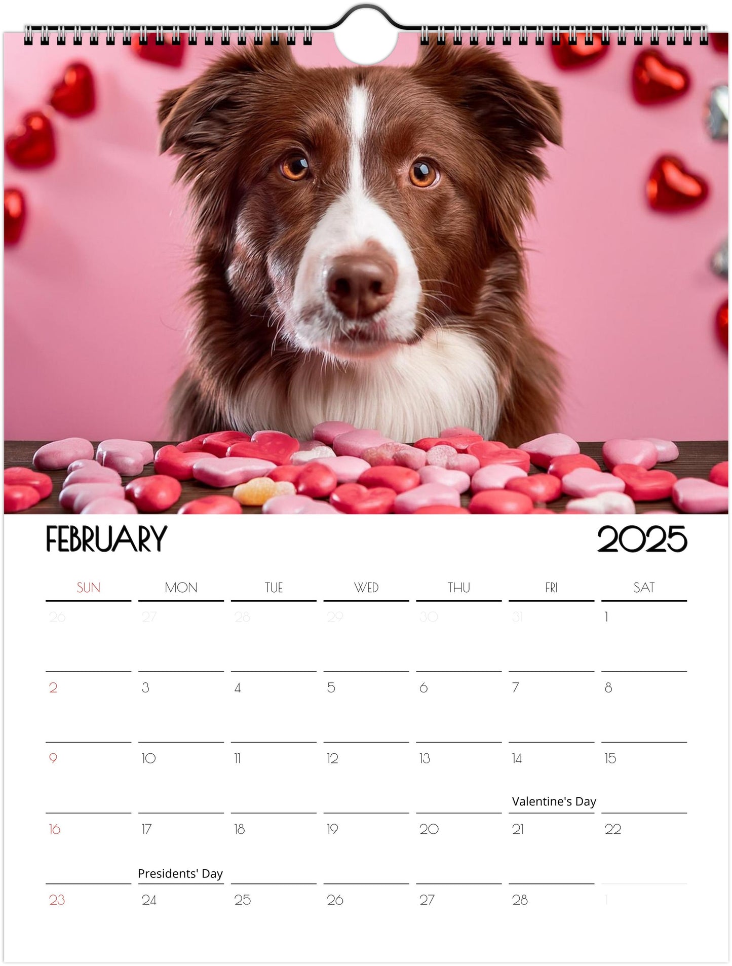 Fun Border Collie 2025 Wall Calendar