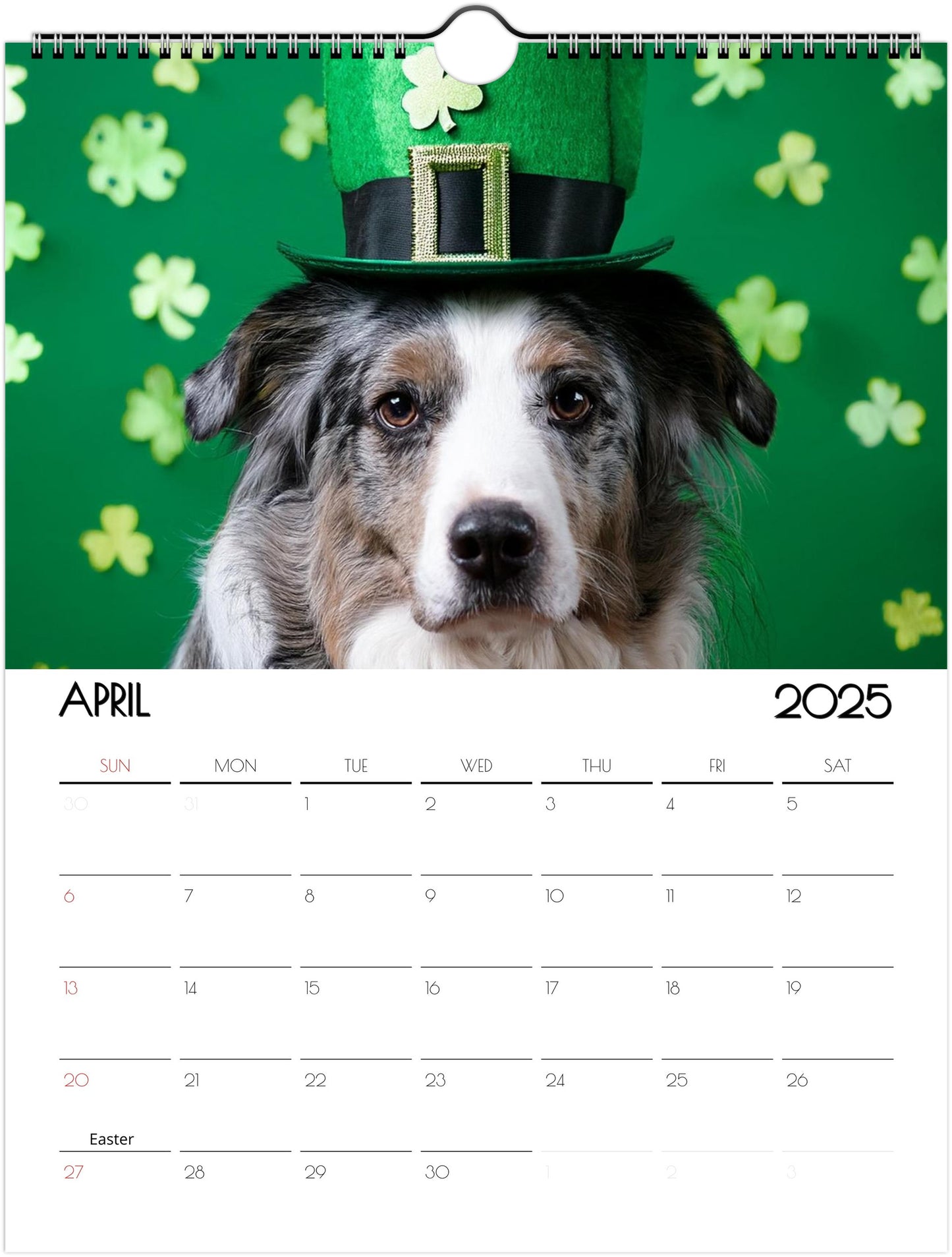 Fun Border Collie 2025 Wall Calendar