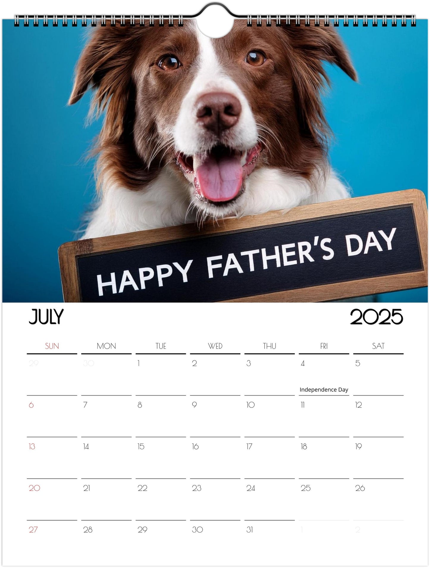 Fun Border Collie 2025 Wall Calendar
