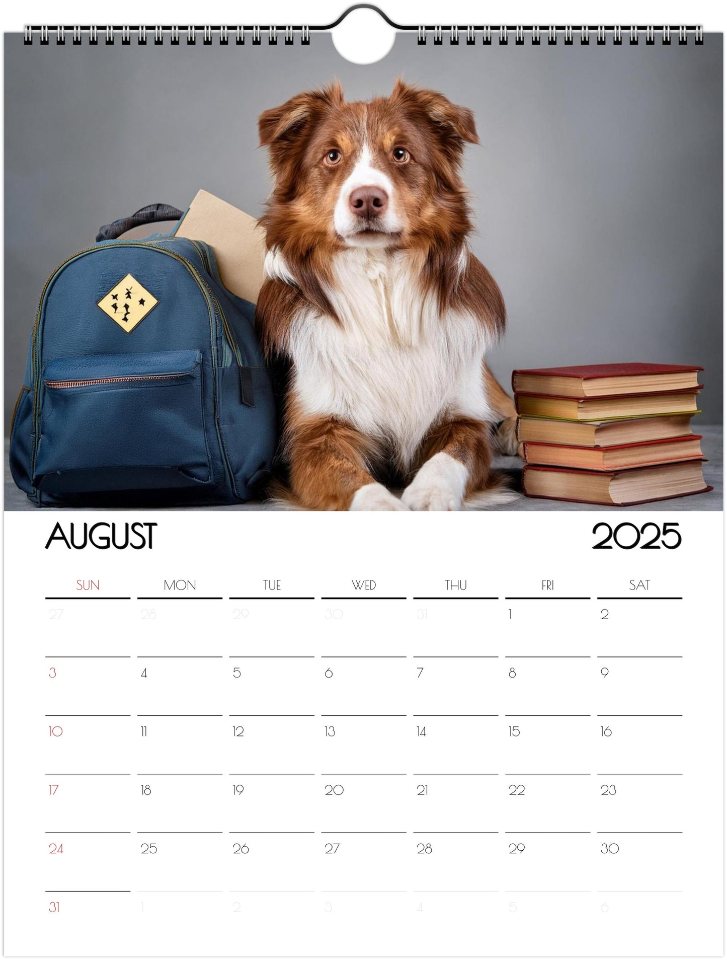 Border Collie 2025 Wall Calendar