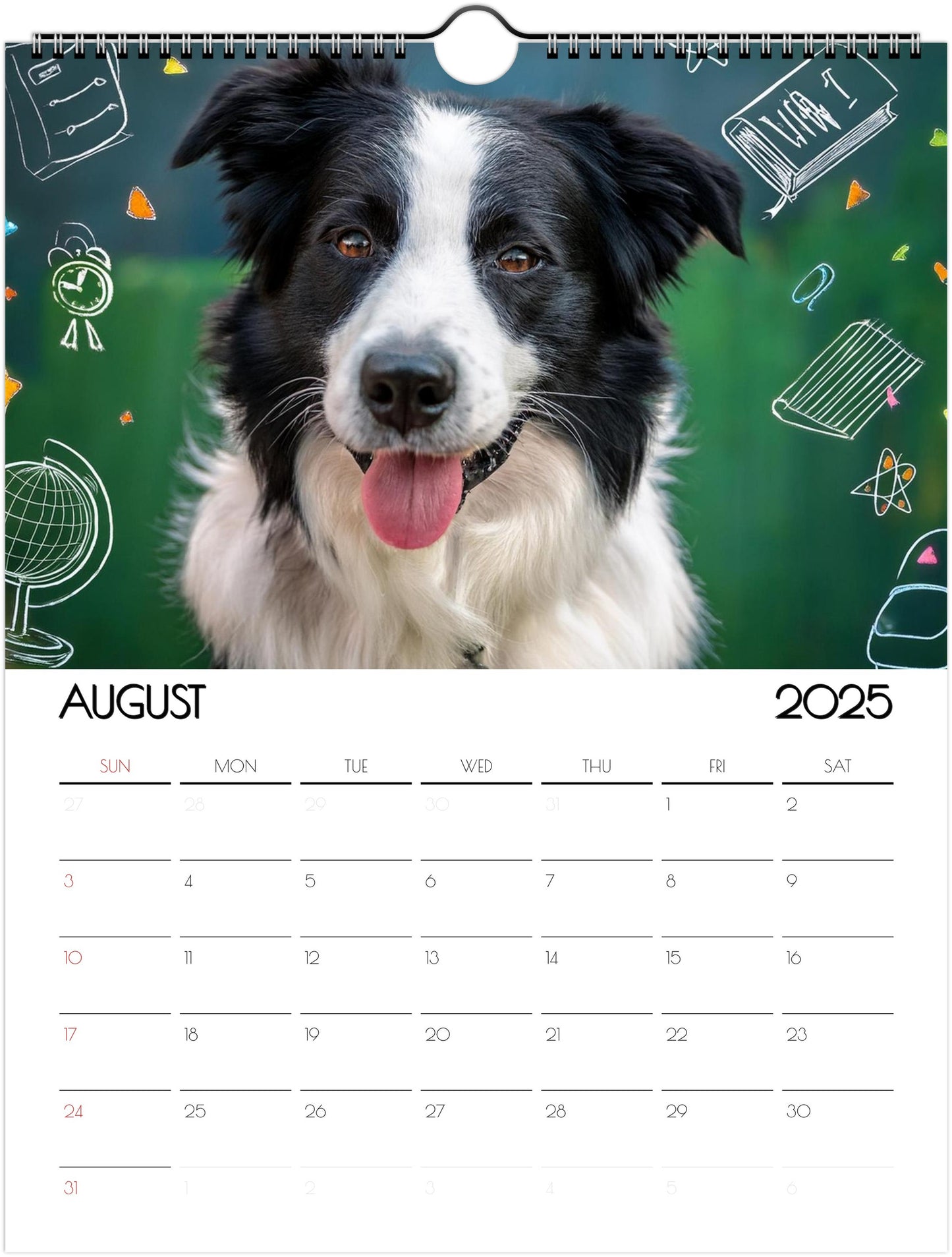 Fun Border Collie 2025 Wall Calendar