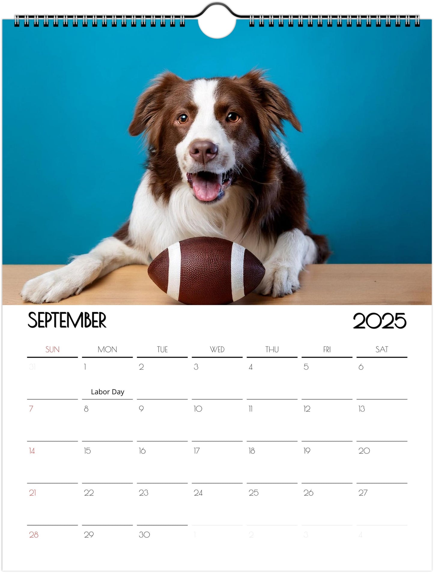 Fun Border Collie 2025 Wall Calendar